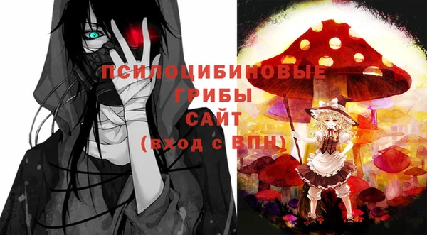 соль курить ск Алзамай